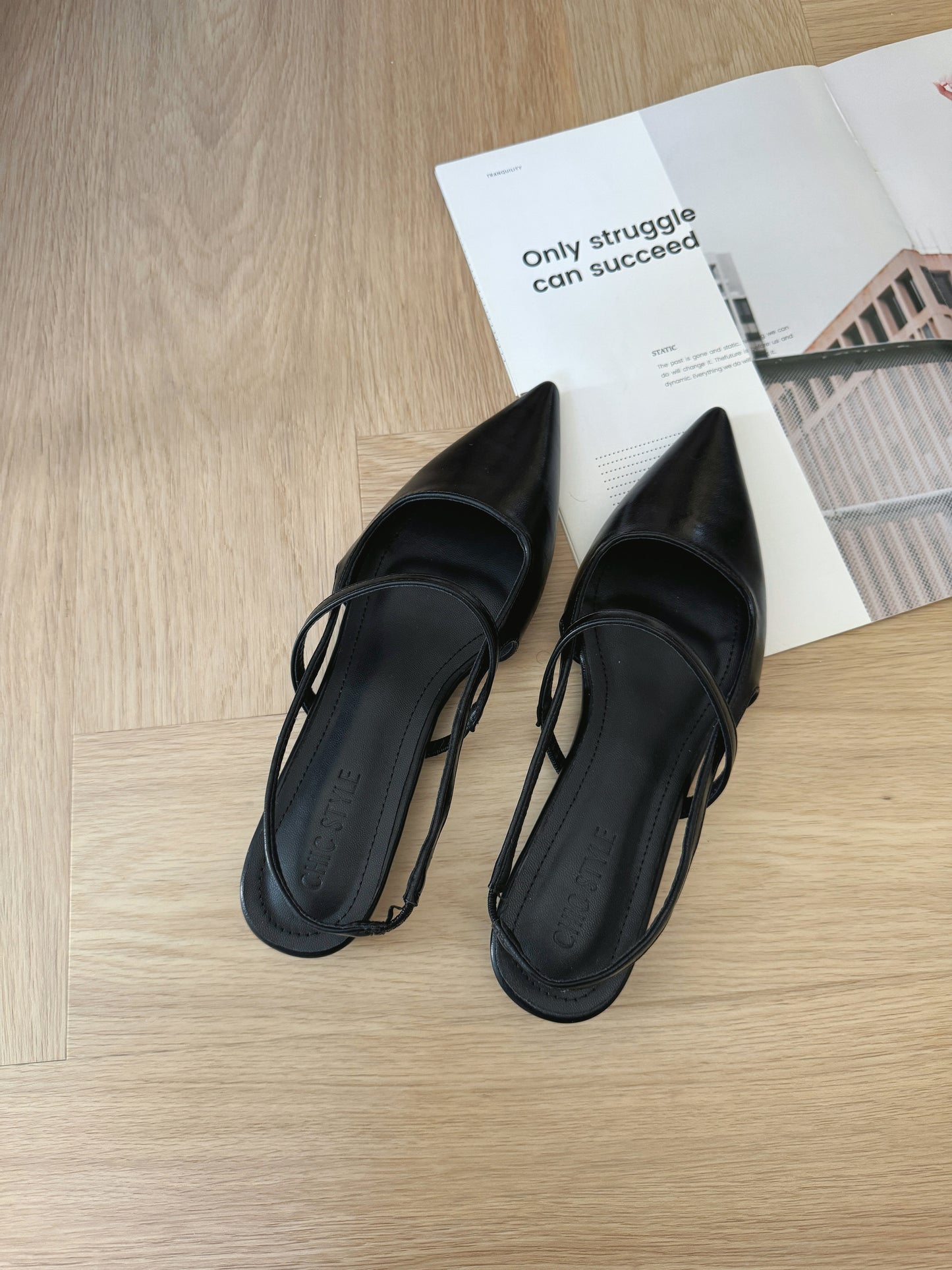 Riley Pointed Flats (Black)