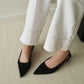 Zoie Pointed Low Heels (Black)