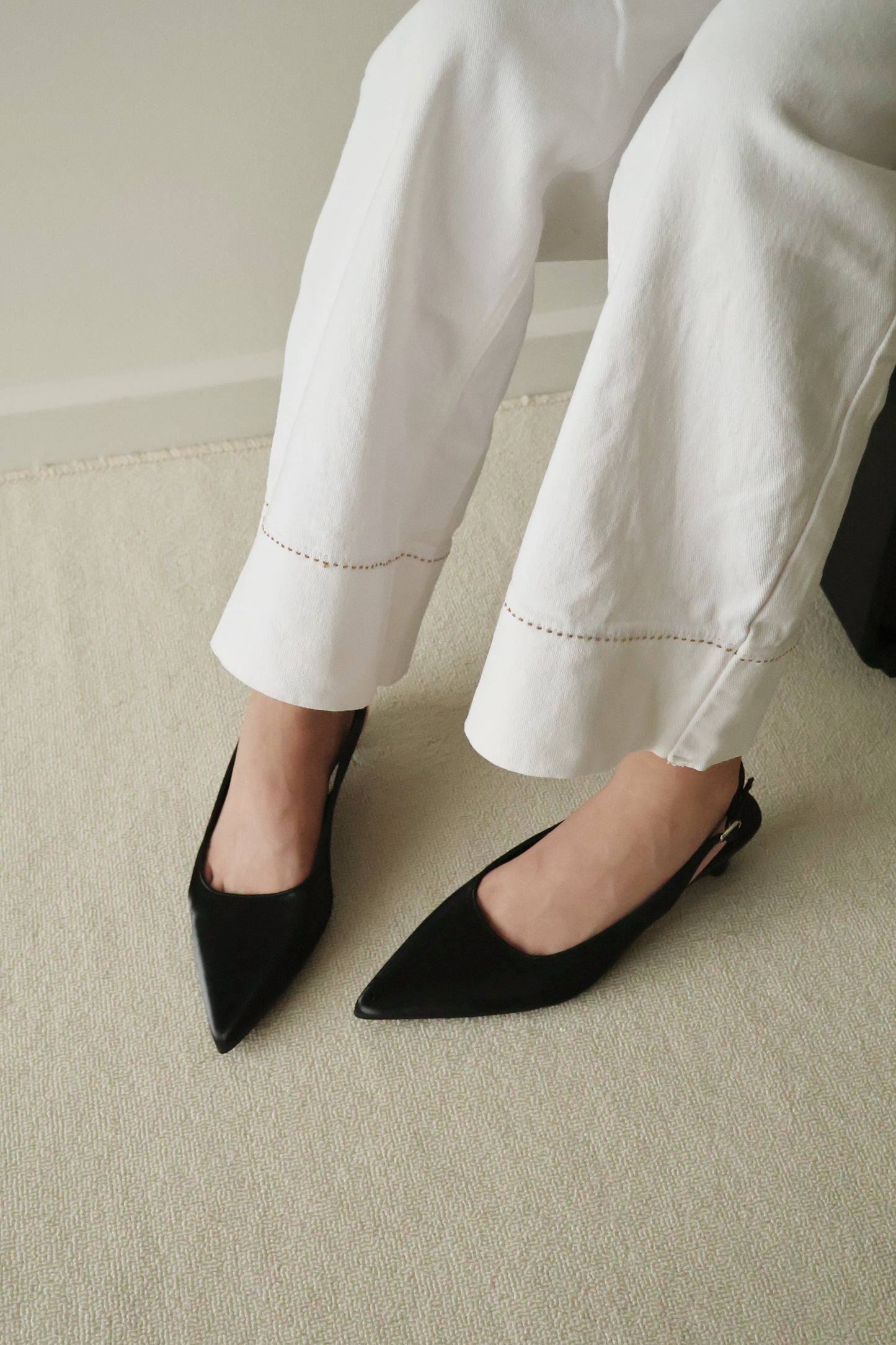Zoie Pointed Low Heels (Black)