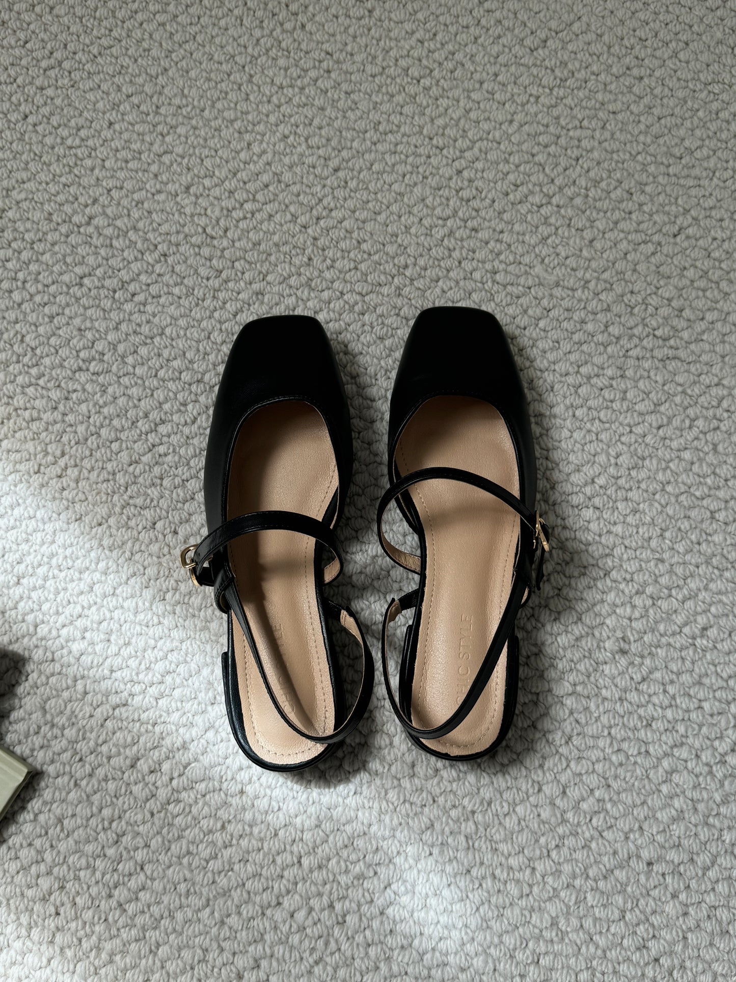 Danica Slingbacks Low Heels (Black)