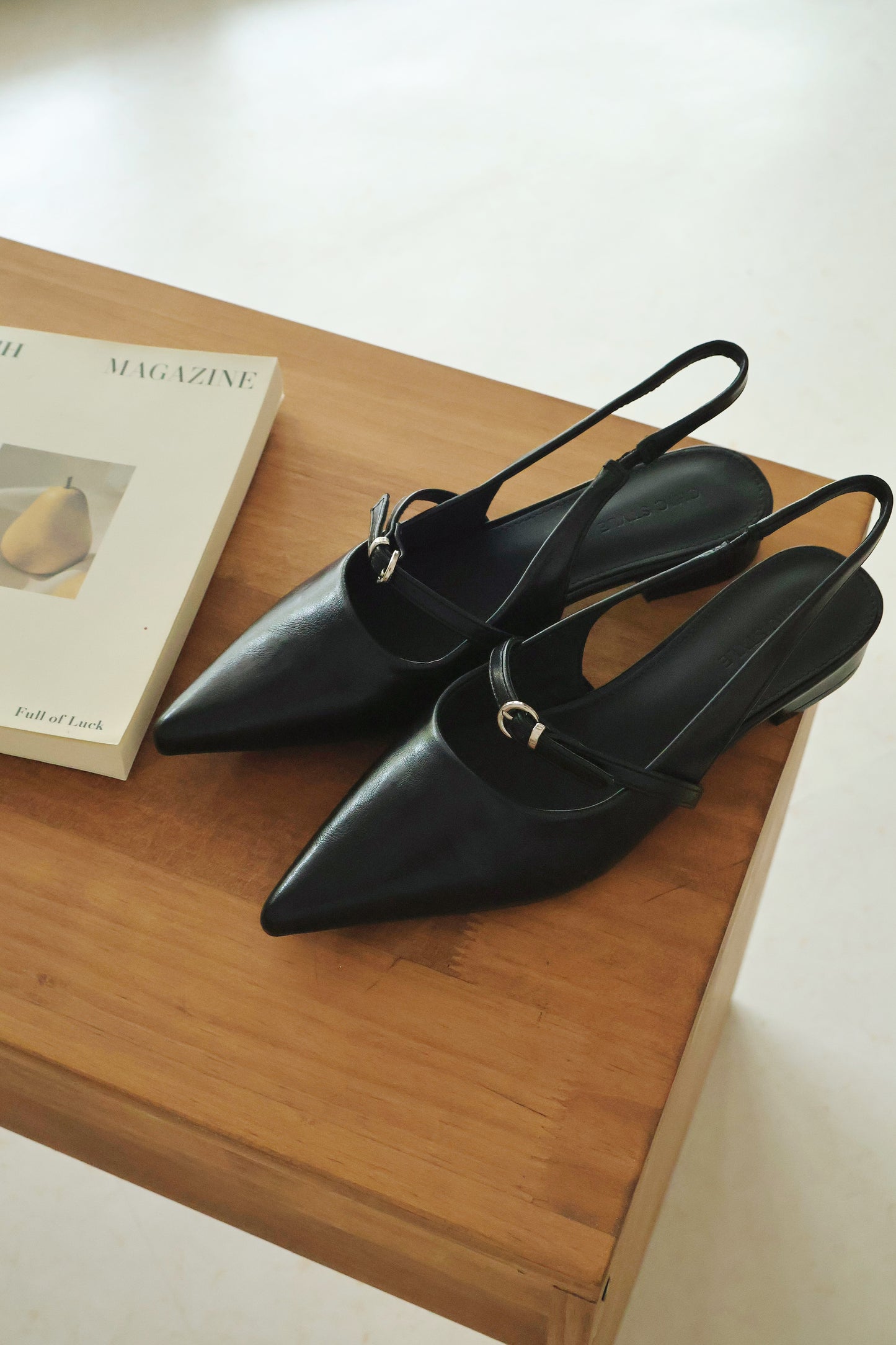 Liza Pointed Slingback Flats (Black)