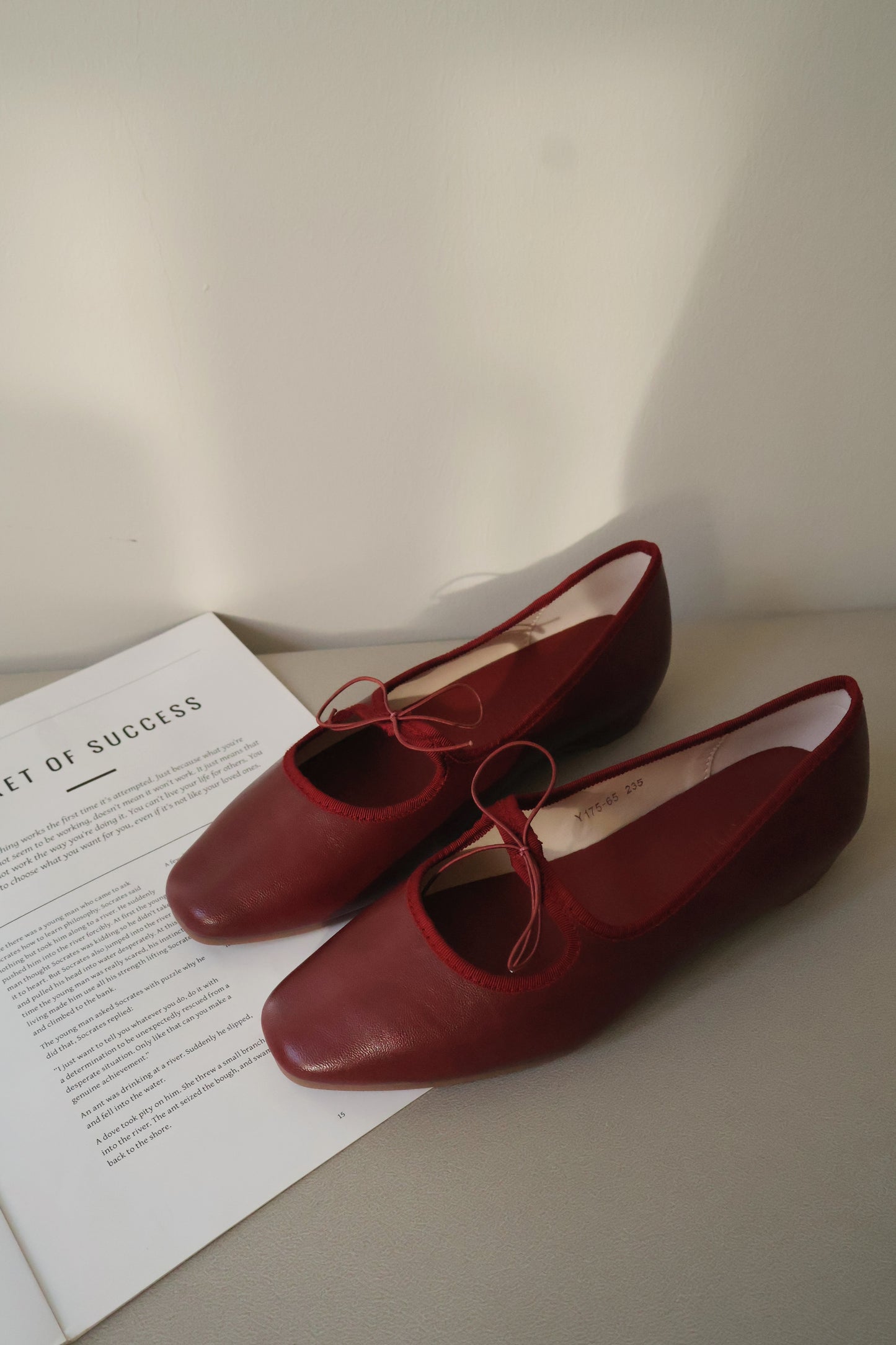 Bernice Mary Janes Flats (Red)