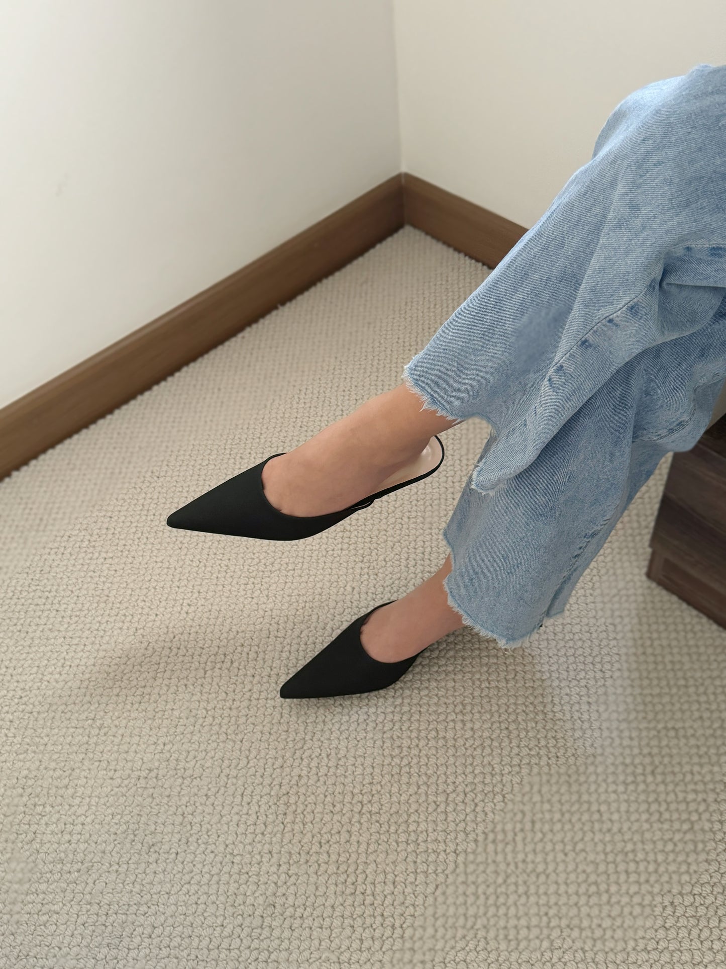 Zana Pointy Low Heels (Black)