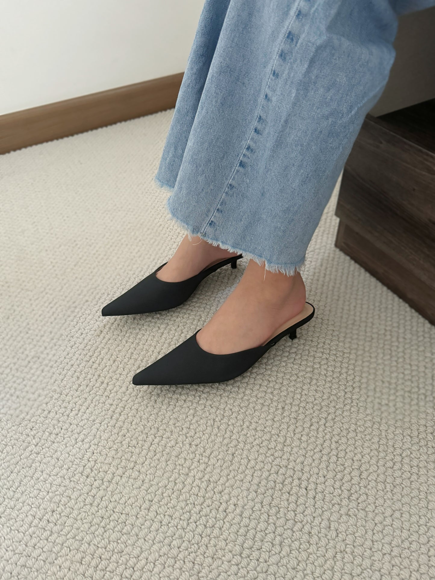 Zana Pointy Low Heels (Black)