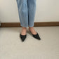Zana Pointy Low Heels (Black)