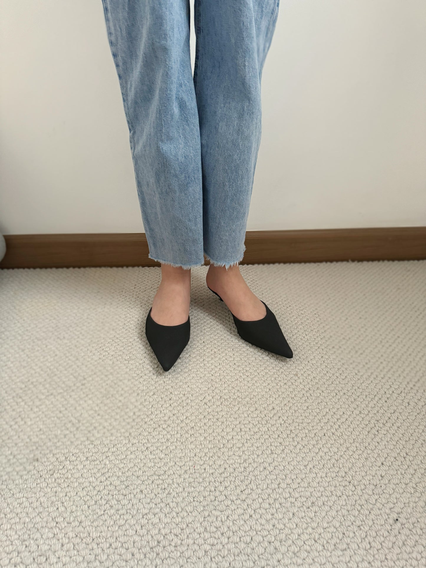 Zana Pointy Low Heels (Black)