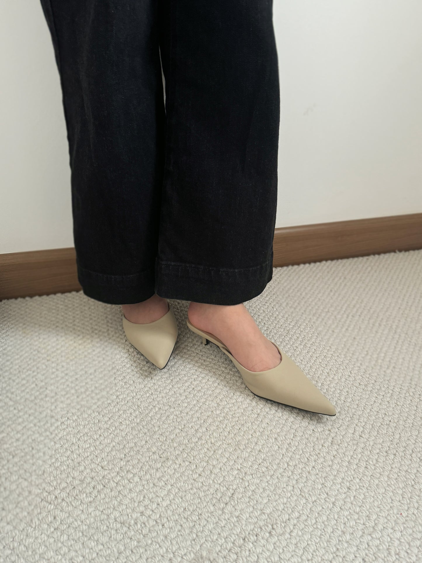 Zana Pointy Low Heels (Beige)