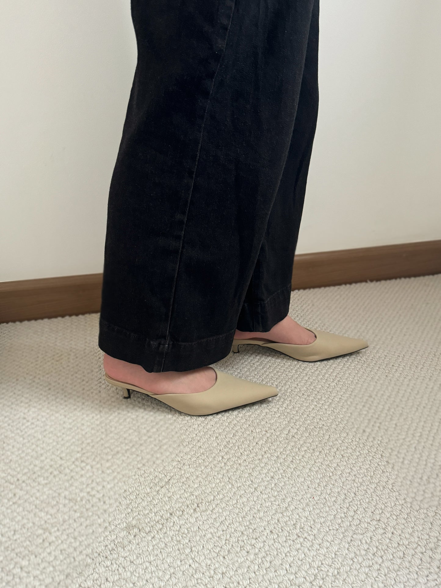 Zana Pointy Low Heels (Beige)
